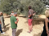 Visit of olive farmers, Vlore