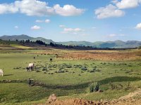 Bale Mountains National Park.