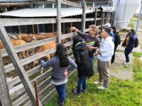 Universtiy farms visit - guided by Dr. Radim Kotrba